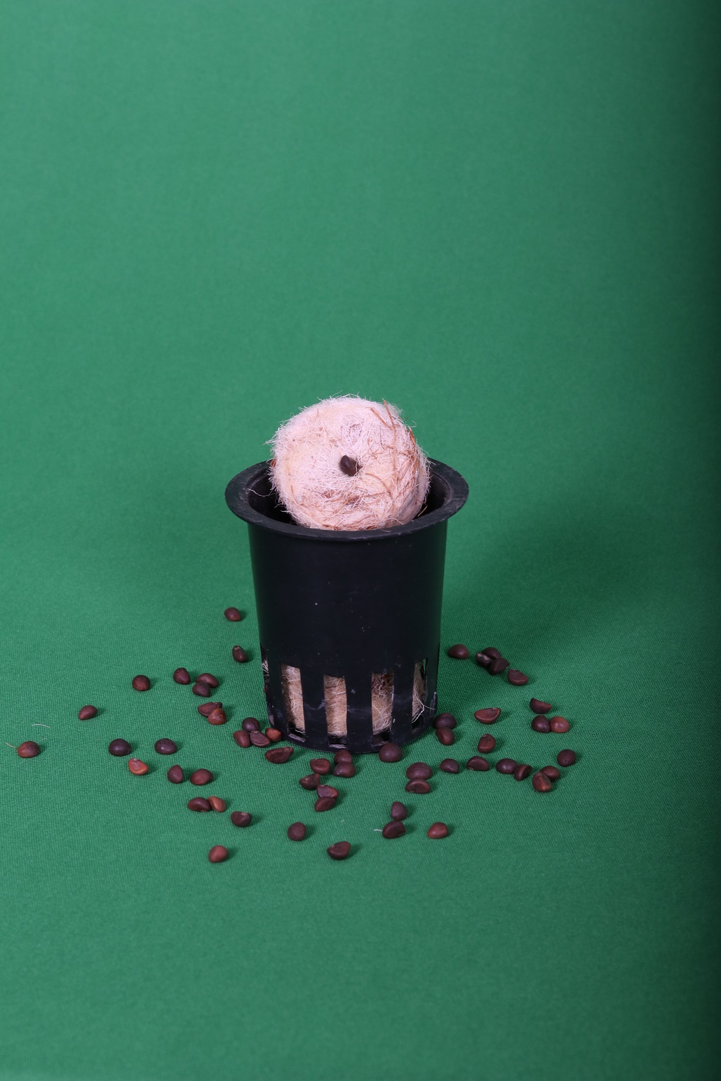 Produk Sheeco satuan