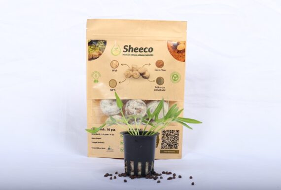 Sheeco dan Contoh Aplikasnya