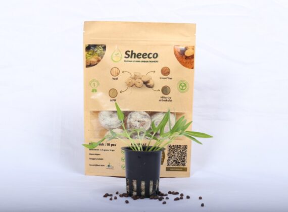 Sheeco dan Contoh Aplikasnya