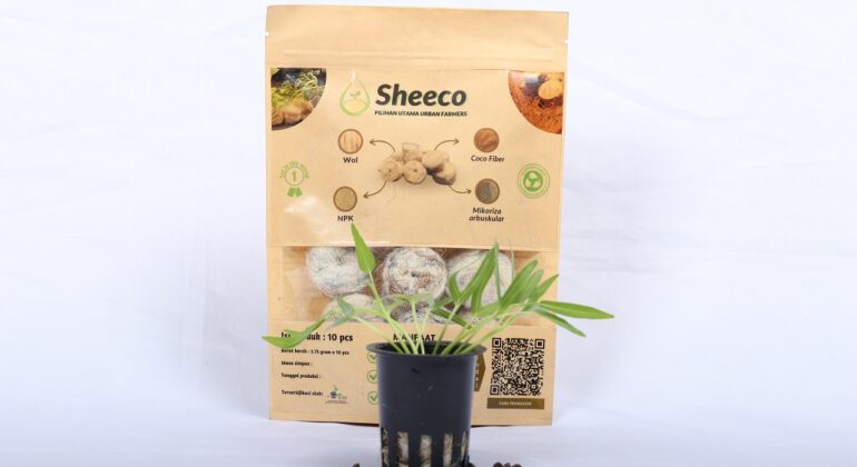 Sheeco dan Contoh Aplikasnya