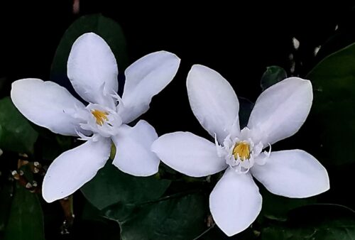 IMG_20191020_124211-01