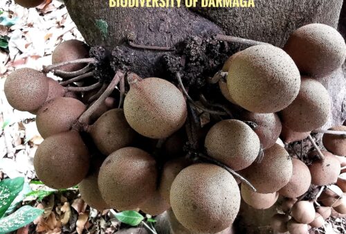 IMG_20191113_124802-01