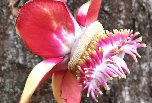 IMG_20191117_201241-01