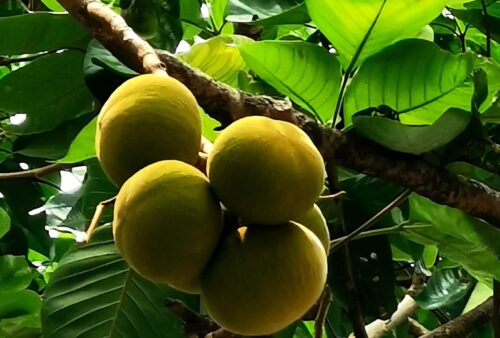 IMG_20191129_221522-01