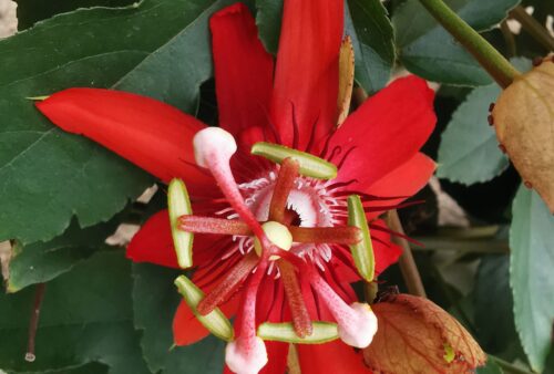 IMG_20191222_125931-01