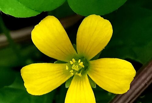 IMG_20191224_103112-02