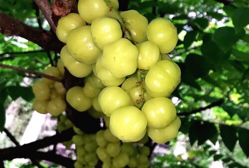 IMG_20191228_170647-01