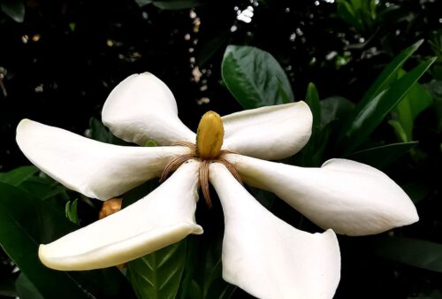 IMG_20200103_104311-01