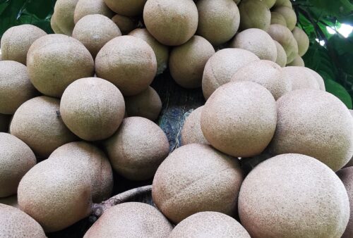 IMG_20200104_074619-01