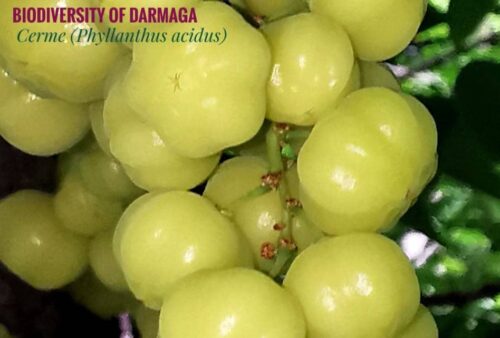 IMG_20200113_235202-01