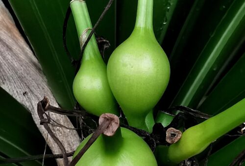 IMG_20200125_153009-01